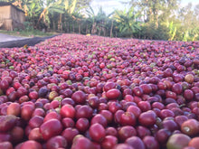 Load image into Gallery viewer, Ethiopia Chire Sidamo