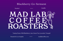 Load image into Gallery viewer, Blackberry Co-ferment