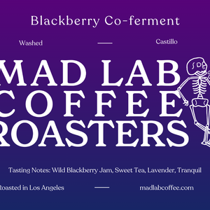 Blackberry Co-ferment