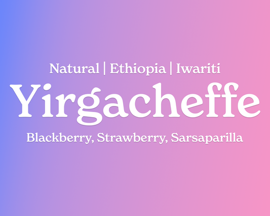 Ethiopia Yirgacheffe Natural