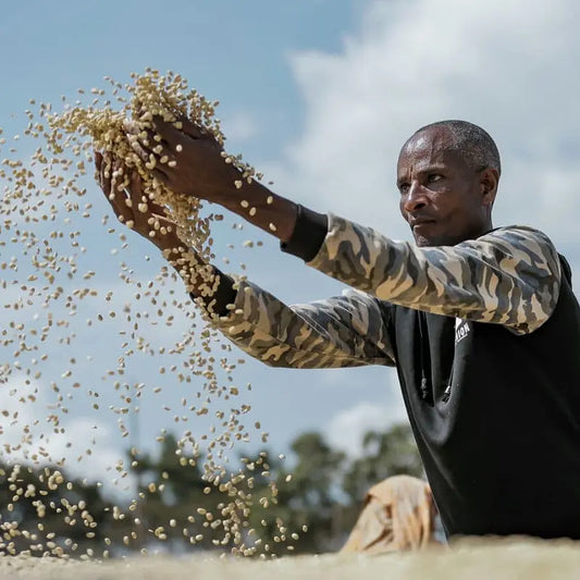 Ethiopia Guji Kalimaz
