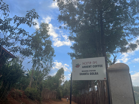 Ethiopia Betiberoti Washed