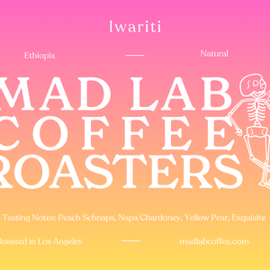 Ethiopia Iwariti Natural