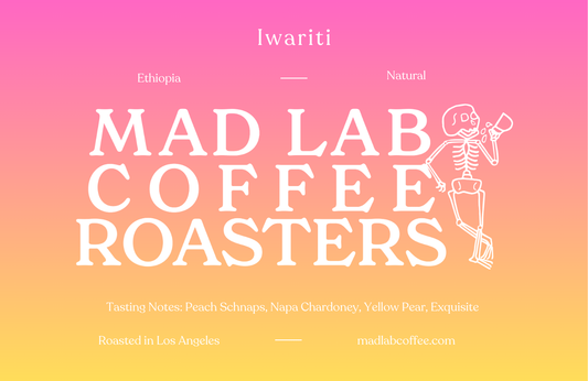Ethiopia Iwariti Natural