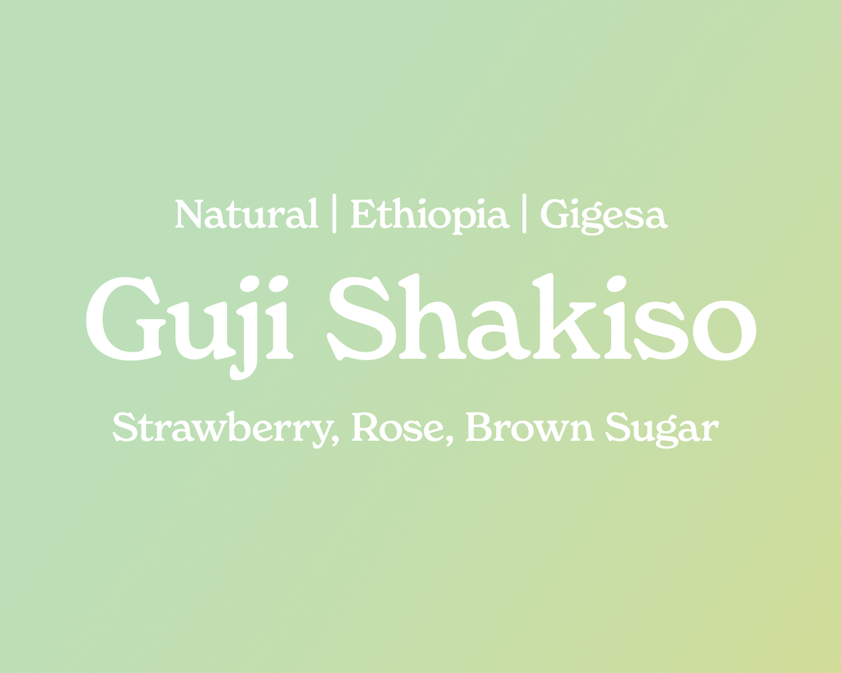 *Ethiopia Guji Shakiso Gigesa*