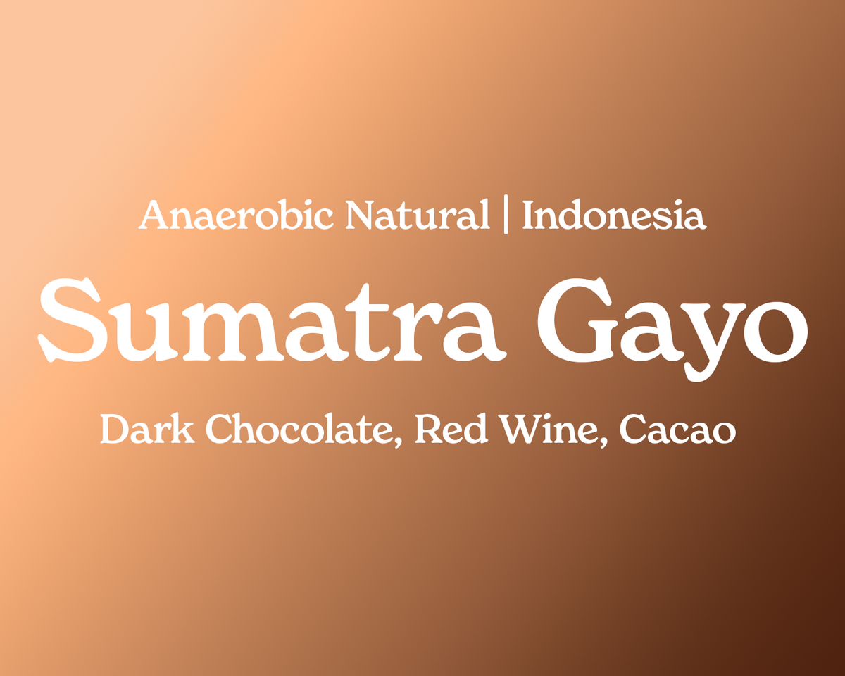 *Sumatra Gayo*